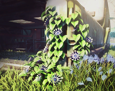 Pale Ivy Contract Image